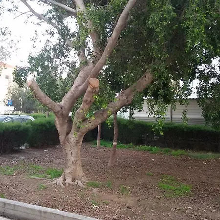 Lca2 Flat For You דירה *