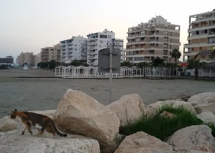 Apartamento Lca2 Flat For You